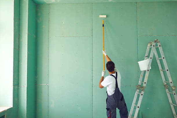 Best Emergency Mold Remediation  in Country Walk, FL