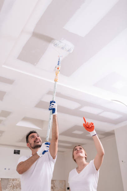 Mold Documentation for Insurance Claims in Country Walk, FL