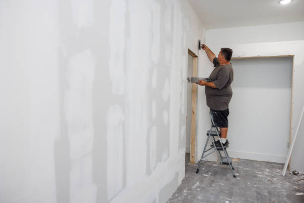 Best Residential Mold Inspection & Testing  in Country Walk, FL