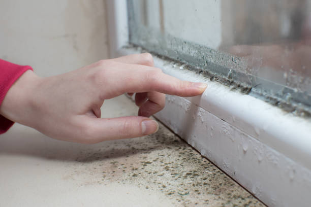 Best Air Quality Testing for Mold Spores  in Country Walk, FL