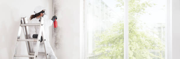 Best Environmental Consulting for Mold Prevention  in Country Walk, FL