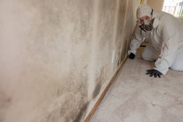 Best Post-Remediation Verification Testing  in Country Walk, FL