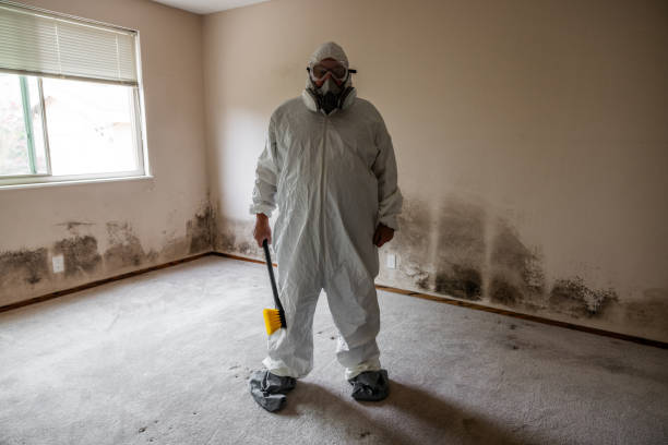 Best Mold Damage Restoration  in Country Walk, FL