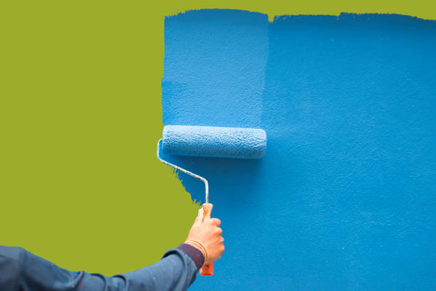 Best Mold Odor Removal Services  in Country Walk, FL